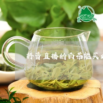 抖音视频:白小姐三期必出一肖中特-喝菊花茶有什么好处  第1张