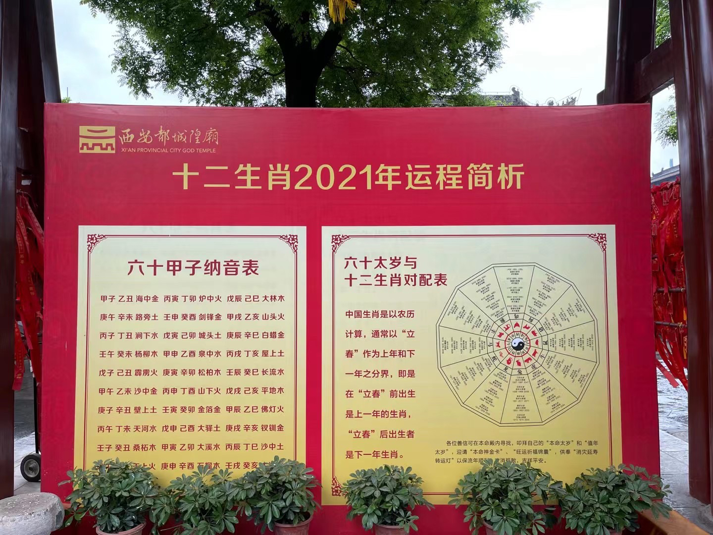 火山视频:2024全年资料免费大全-吃土豆有什么好处  第3张