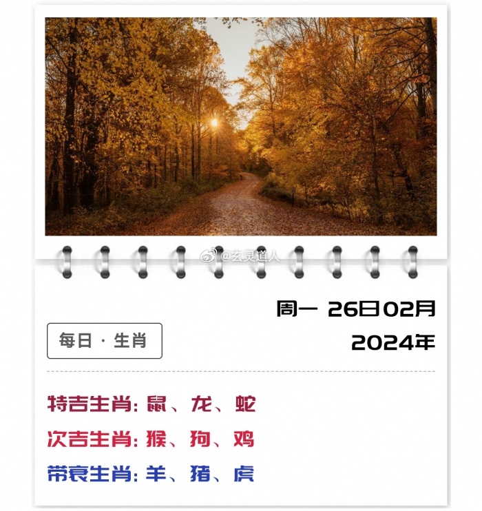 搜狐订阅：今晚澳门开准确生肖12月4日-2024是什么年  第3张