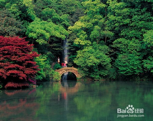 百度平台:494949cc澳门精准一肖-杭州暴雨 九溪烟树溪水大涨  第1张