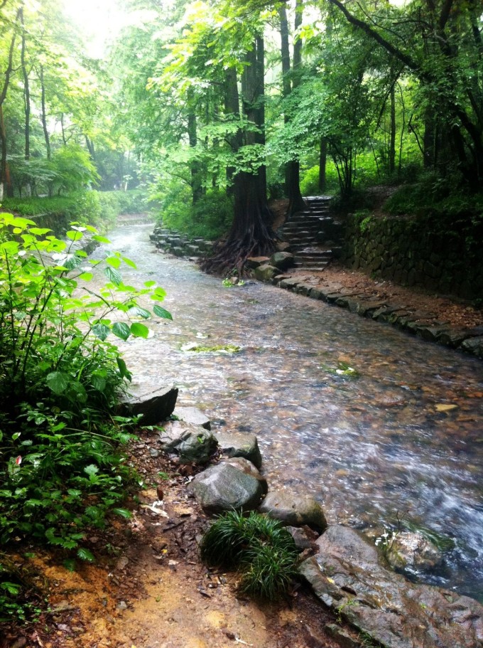 百度平台:494949cc澳门精准一肖-杭州暴雨 九溪烟树溪水大涨  第3张