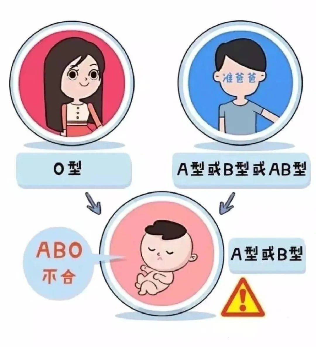 腾讯：澳门王中王100%资料2023-abo溶血症是什么  第3张