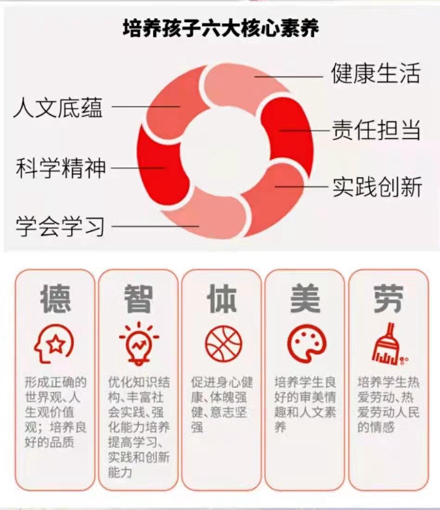搜狐订阅：澳门正版资料大全免费六肖-德智体美劳分别指什么  第1张