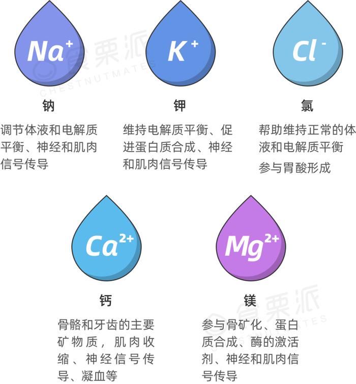 搜狐订阅：新澳门王中王资料-人体电解质是什么  第1张