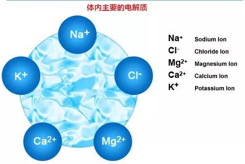 搜狐订阅：新澳门王中王资料-人体电解质是什么  第2张