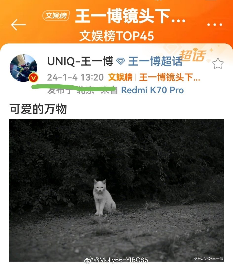 火山视频:王中王一肖一特一中-怎么空运宠物  第2张