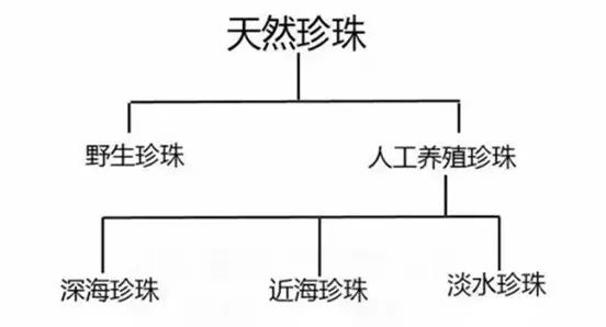 腾讯：2024今晚开特马开什么号-铎字五行属什么  第1张