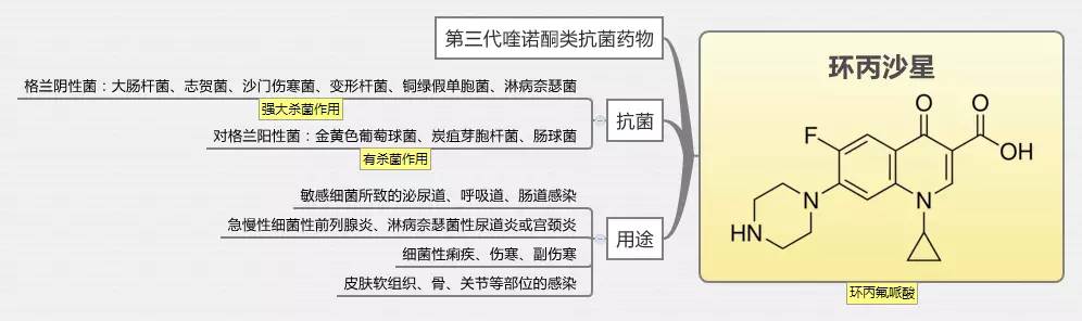 搜狐订阅：新澳门免费资料大全精准版-内痔吃什么药  第3张