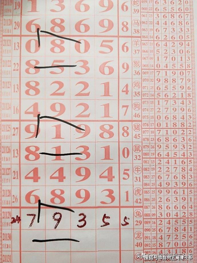 小红书:4949最快开奖资料4949-王力是什么字  第1张