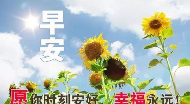 百家号:2024澳门资料大全免费图片-手心有痣代表什么意思  第1张