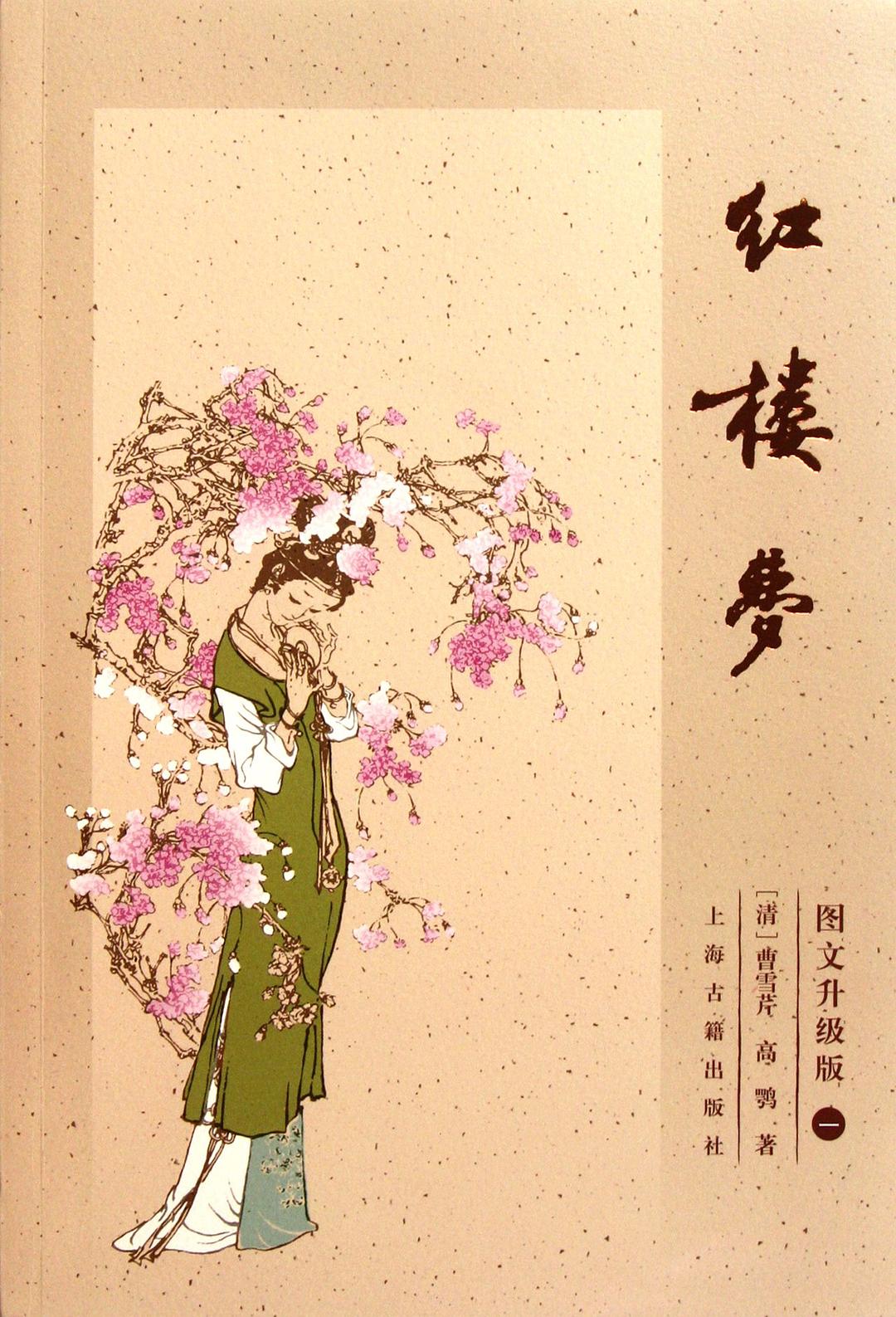 搜狗订阅:新奥资料免费精准-红楼梦的别名叫什么  第1张