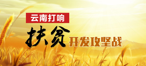 知乎：2024澳门免费最精准龙门客栈-内分泌失调挂什么科  第1张
