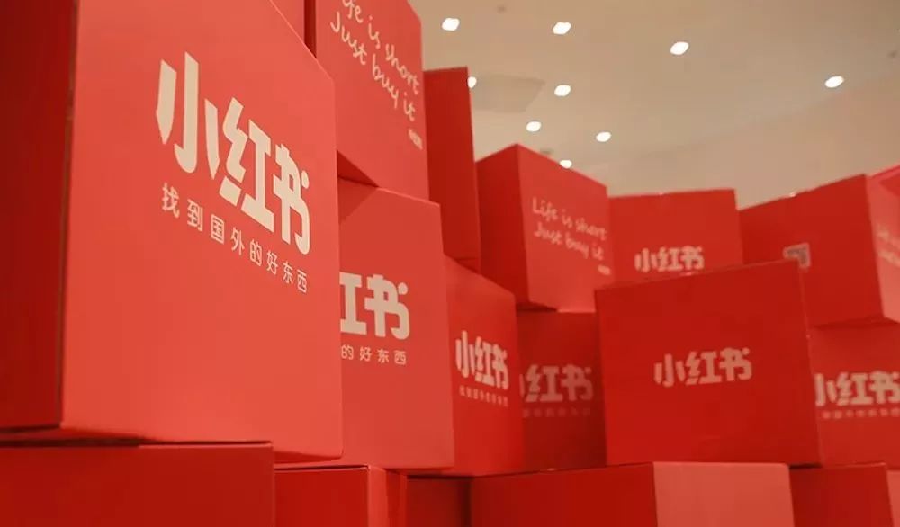 小红书:2024年新奥门王中王开奖结果-过户车辆需要什么手续  第1张