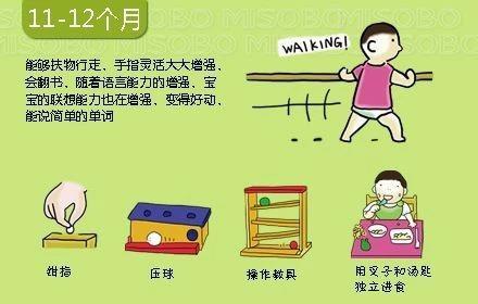 搜狐:香港内部公开资料最准下载-胚根发育成什么  第2张