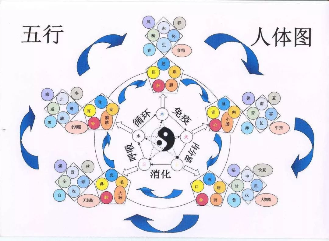抖音视频:2024澳门正版平特一肖-六字五行属什么  第1张
