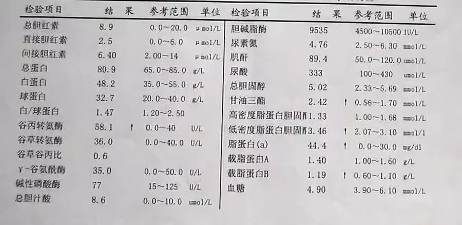 腾讯：新澳门免费资料大全精准版-红细胞压积偏高是什么意思  第2张