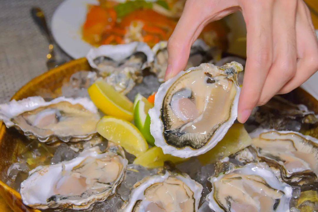 抖音视频:香港资料图库一免费-牛牡蛎肉怎么做好吃  第1张