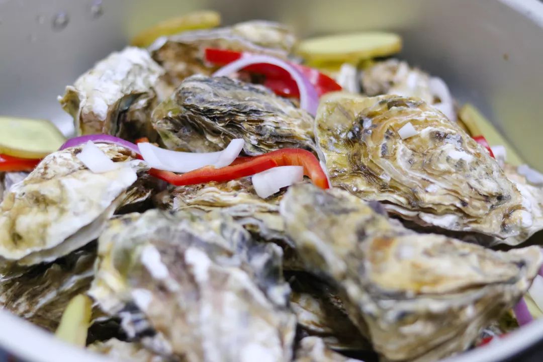 抖音视频:香港资料图库一免费-牛牡蛎肉怎么做好吃  第2张
