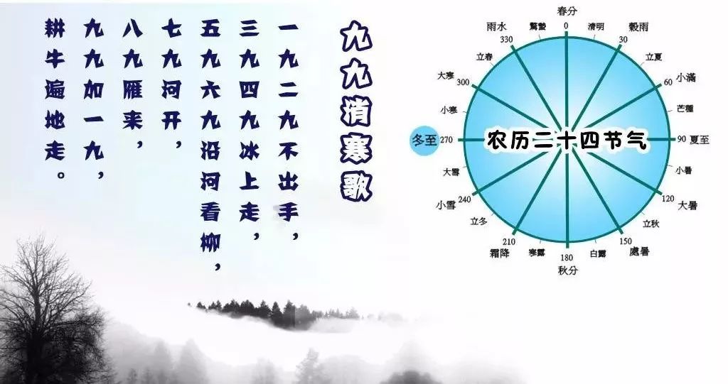 知乎：二四六香港管家婆期期准资料大全-吃了海参不能吃什么  第3张