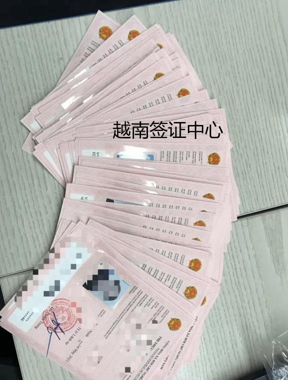 搜狐:澳门天天彩免费资料大全免费查询-老挝签证怎么办理流程  第2张