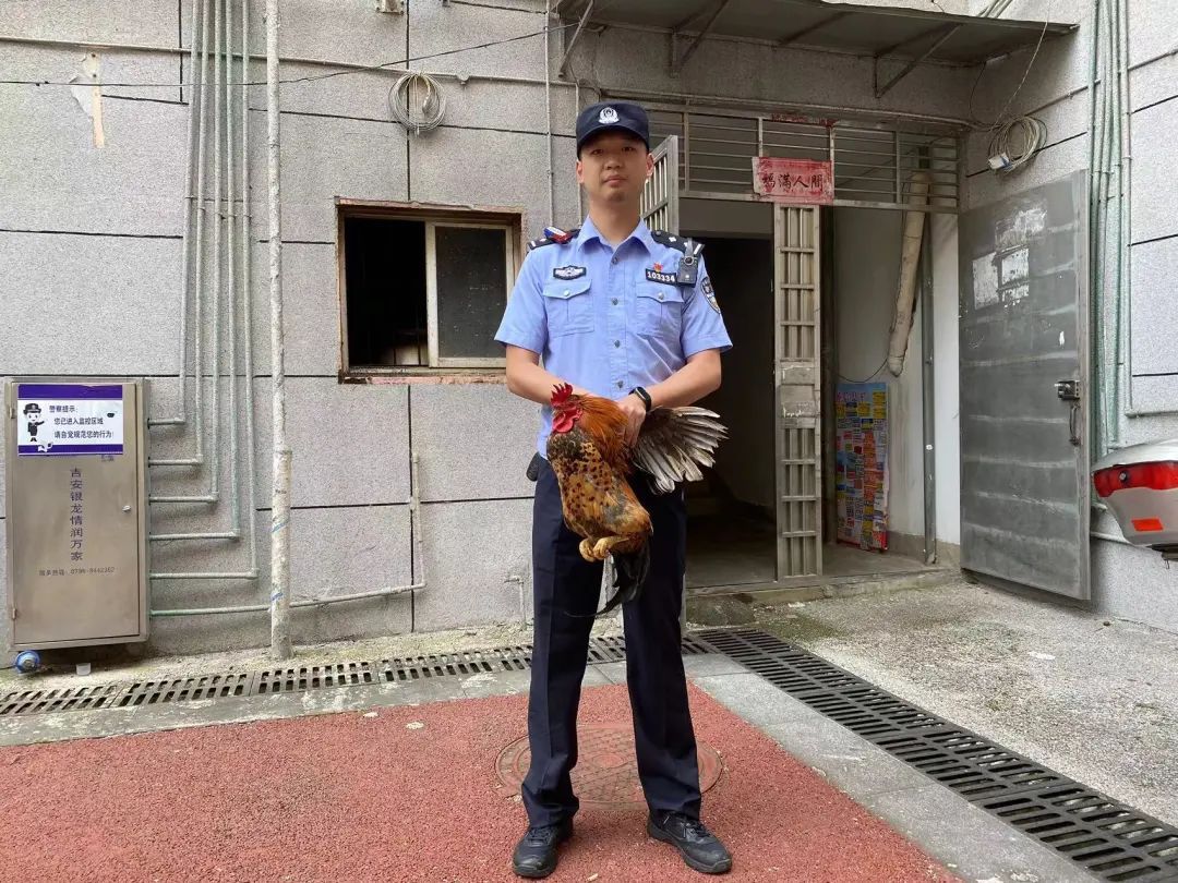 网易:今晚澳门一码一肖-二级警司是什么级别  第1张