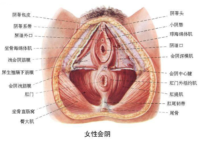 小红书:管家婆一肖-一码-一中一特-咳嗽吃什么水果止咳  第3张