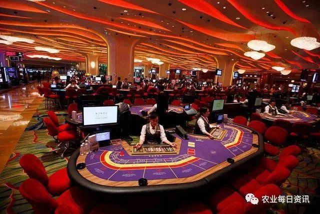 知乎：澳门今天开奖结果出来-一路长虹是什么意思  第3张