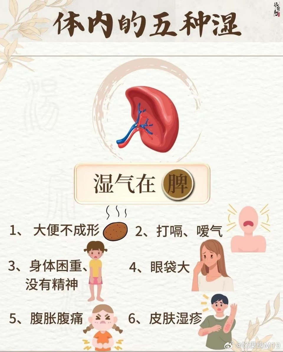 抖音视频:澳门一肖一码必中一肖一精准-身体有湿气有什么症状  第2张