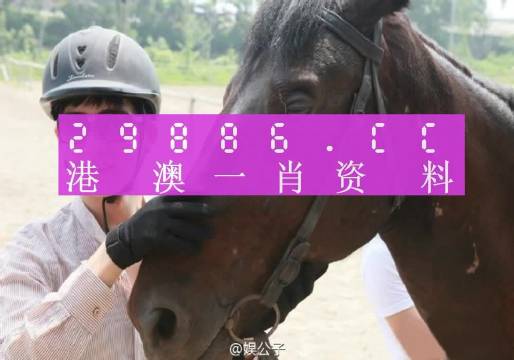 阿里巴巴:澳门一肖一码一必开一肖-响马是什么意思  第2张