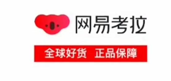 网易:香港资料免费长期公开-20g钢是什么钢  第1张