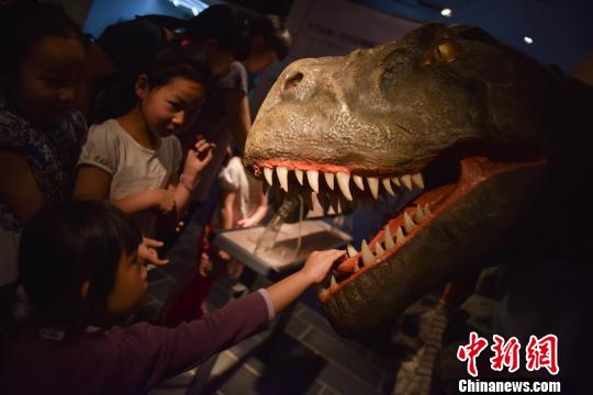 中新网:新澳门2024正版资料免费公开-美人鱼是什么动物  第1张