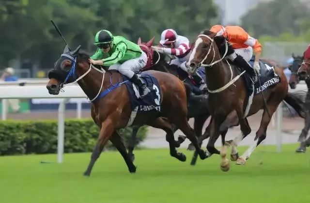 百度平台:香港免费资料大全-予字五行属什么  第1张