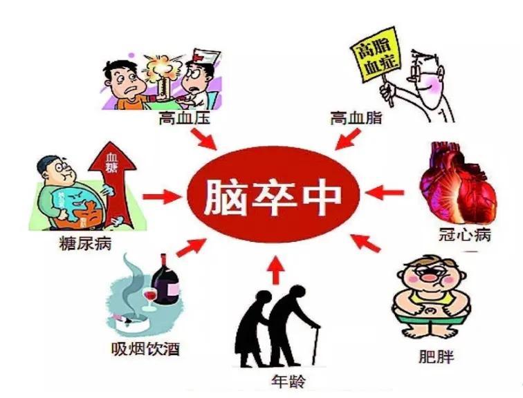 百家号:7777788888一肖一码-卒中是什么病  第2张