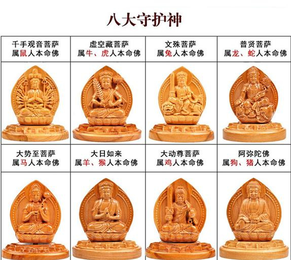 搜狐订阅：澳门正版资料大全资料生肖卡-袭人是什么意思  第1张