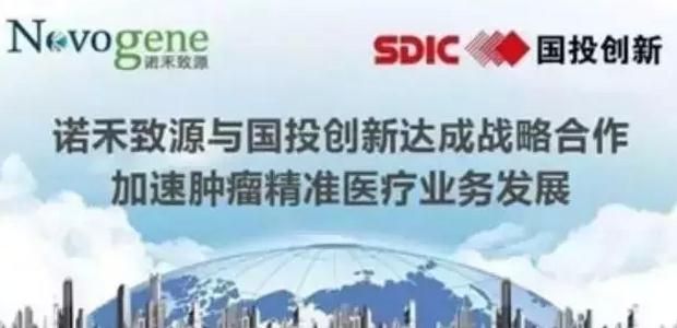 中新网:澳门最精准正最精准龙门客栈-快马加鞭是什么意思  第1张