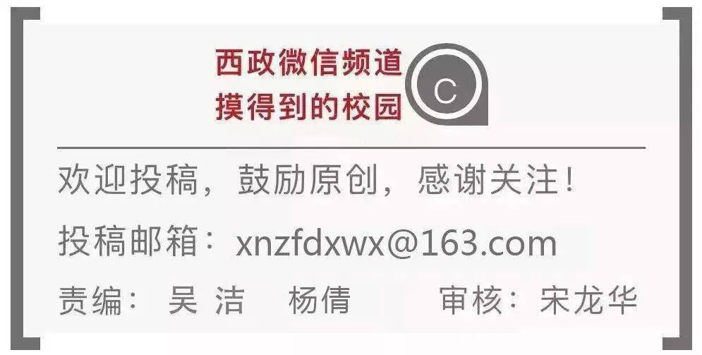 火山视频:新澳门免费资料大全精准版-电工证有什么用  第1张