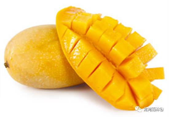 腾讯：澳门正版资料大全免费网-海南大芒果怎么吃  第2张