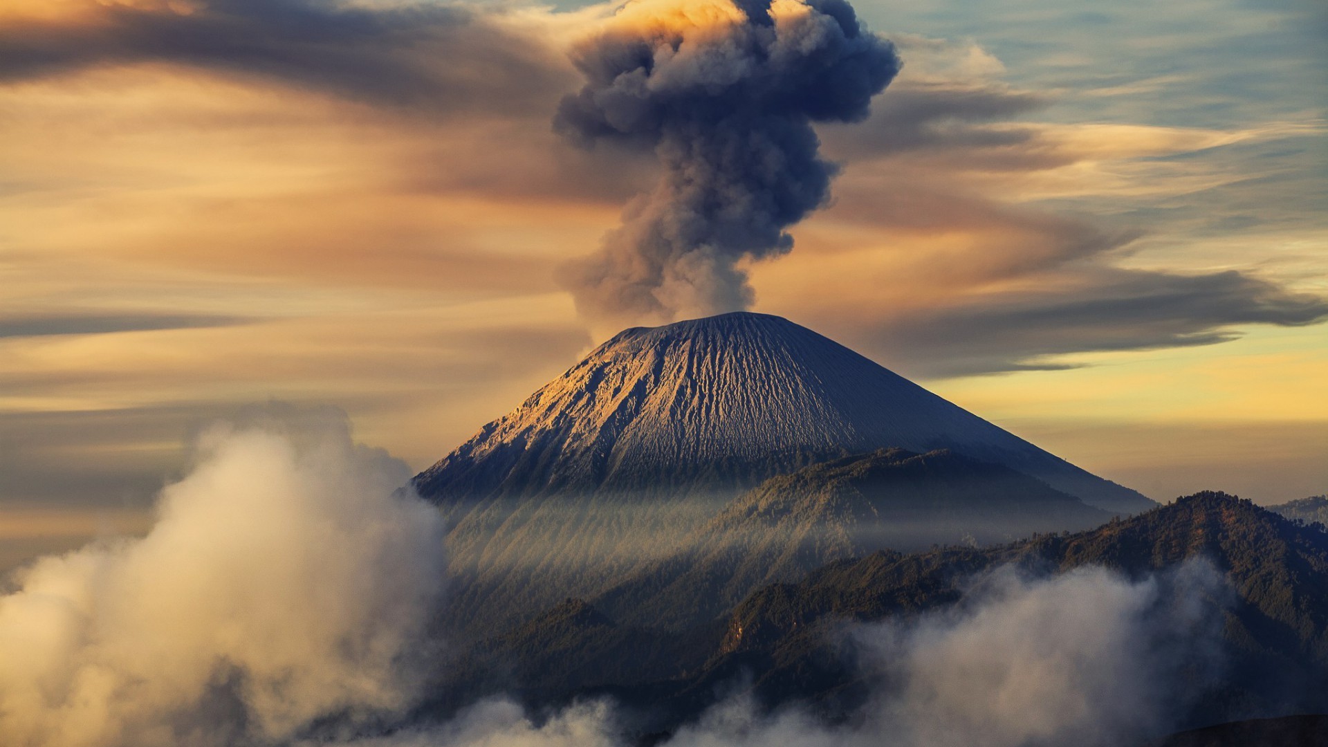 火山视频:澳门最精准正最精准龙门客栈-遗孀什么意思  第2张