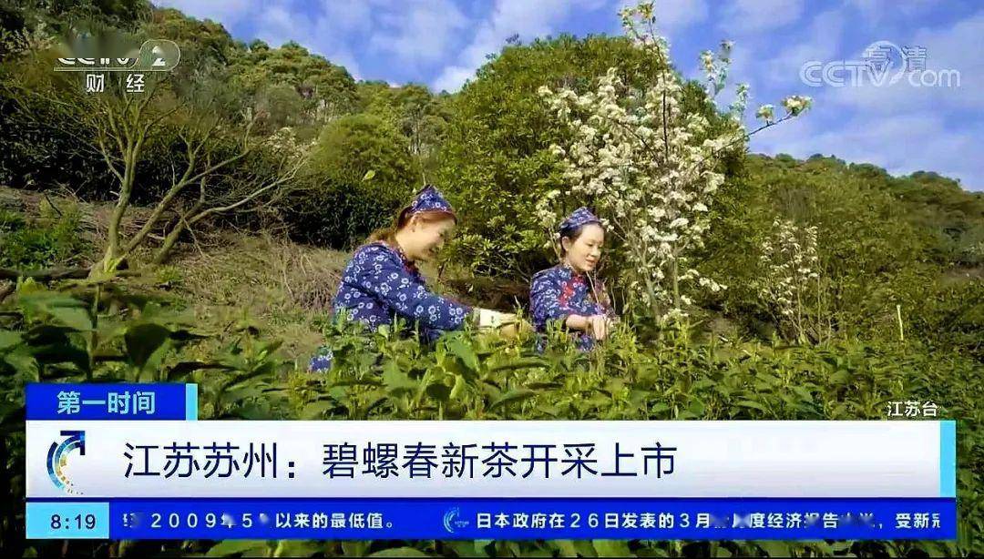抖音视频:香港澳门资料大全-水仙二嫂哪个城市  第1张