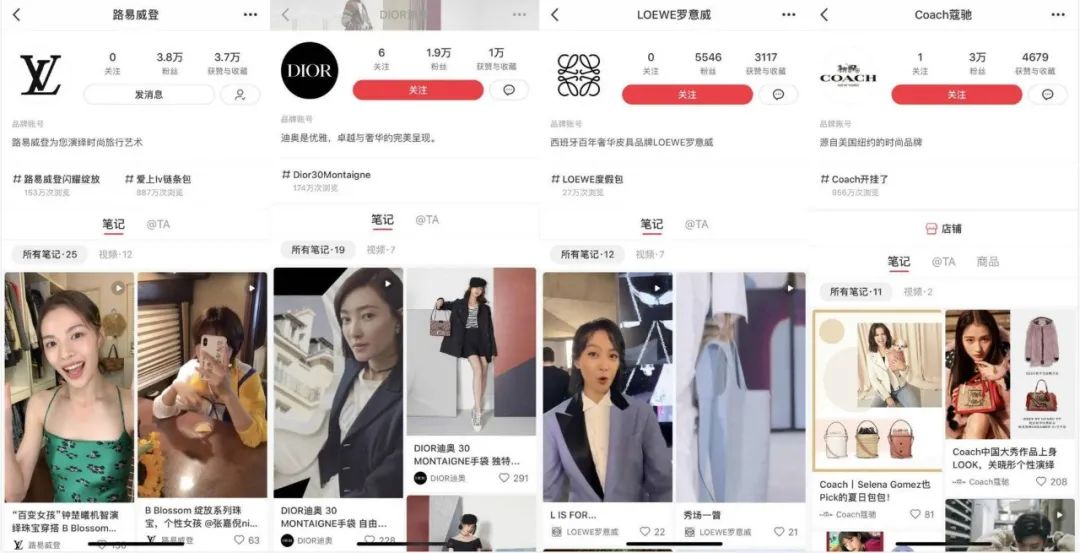 小红书:香港资料免费长期公开-tiktok什么意思  第2张