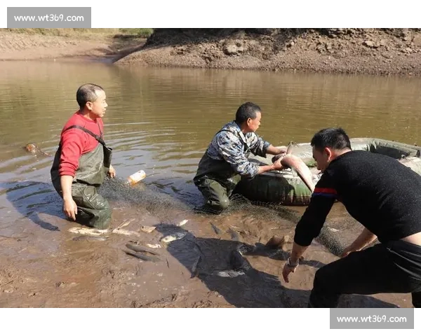 雨后水库捕鱼潮:千人围捕,有人日赚 1500 元 雨后水库捕鱼潮:千人围捕,有人日赚 1500 元